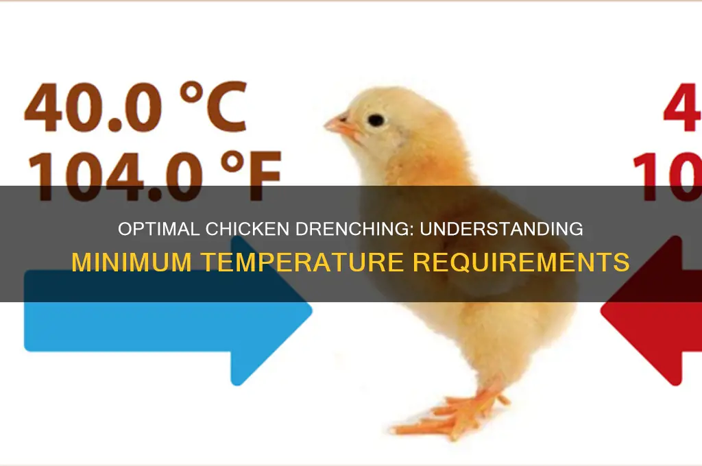 what is the minimum temperature to drench chickes
