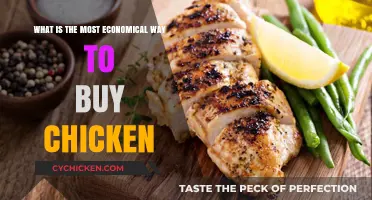 Budget-Friendly Chicken Buying: Smart Tips for Economical Poultry Purchases