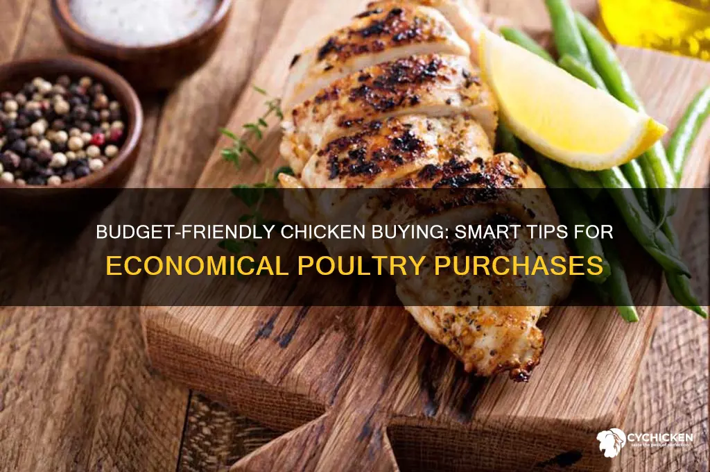 what is the most economical way to buy chicken