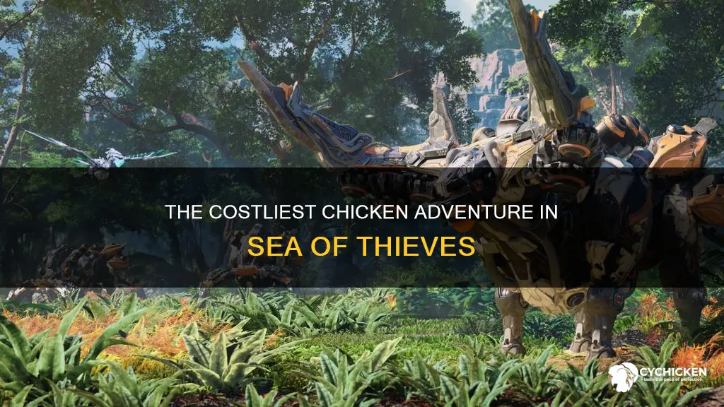 what is the most expensive chicken in sea of thieves