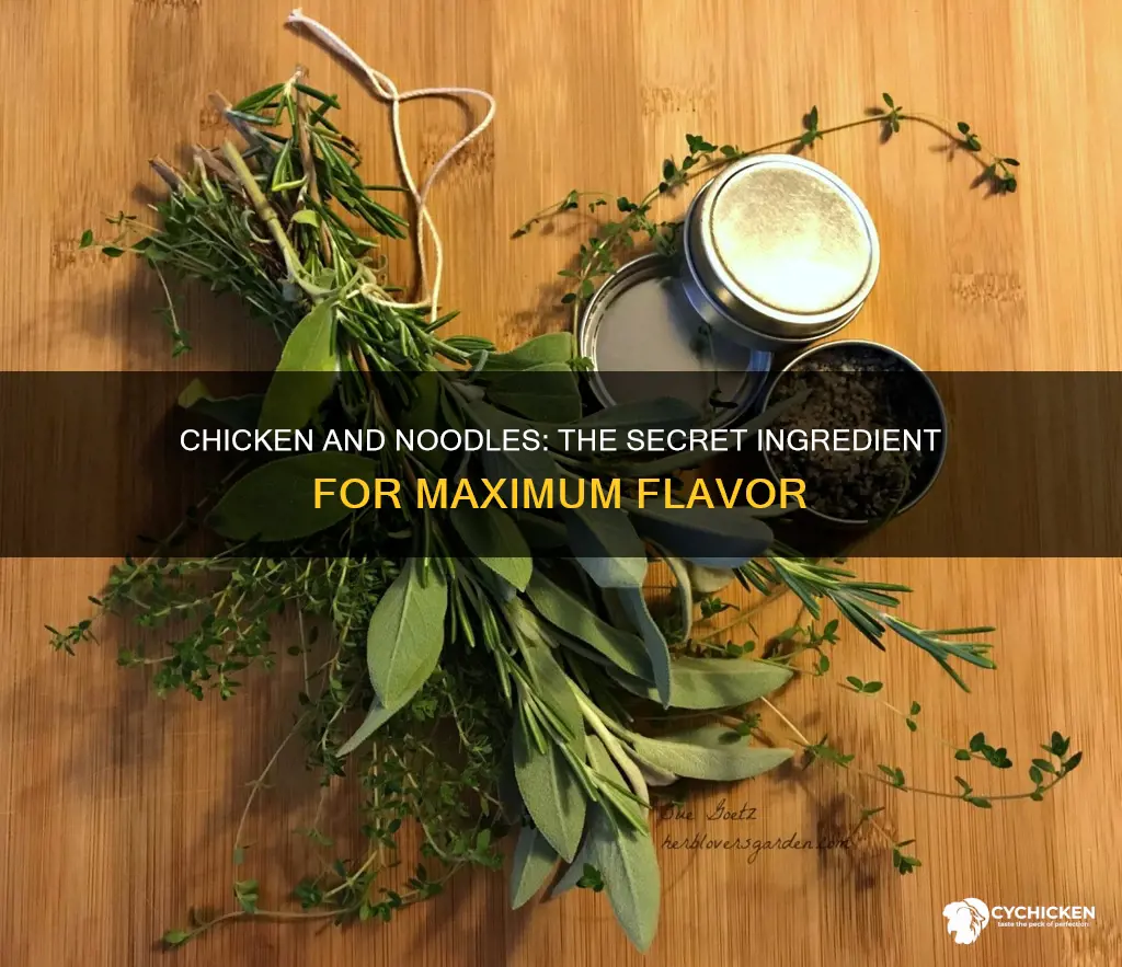 what is the most flavorful ingredient for chicken and noodles