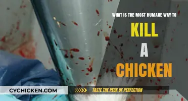 The Quick, Painless Way to Dispatch Chickens