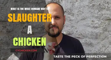 The Most Humane Way to Slaughter a Chicken