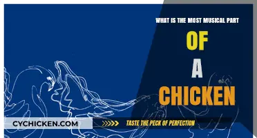 Chicken Music: The Wing's Musical Secrets