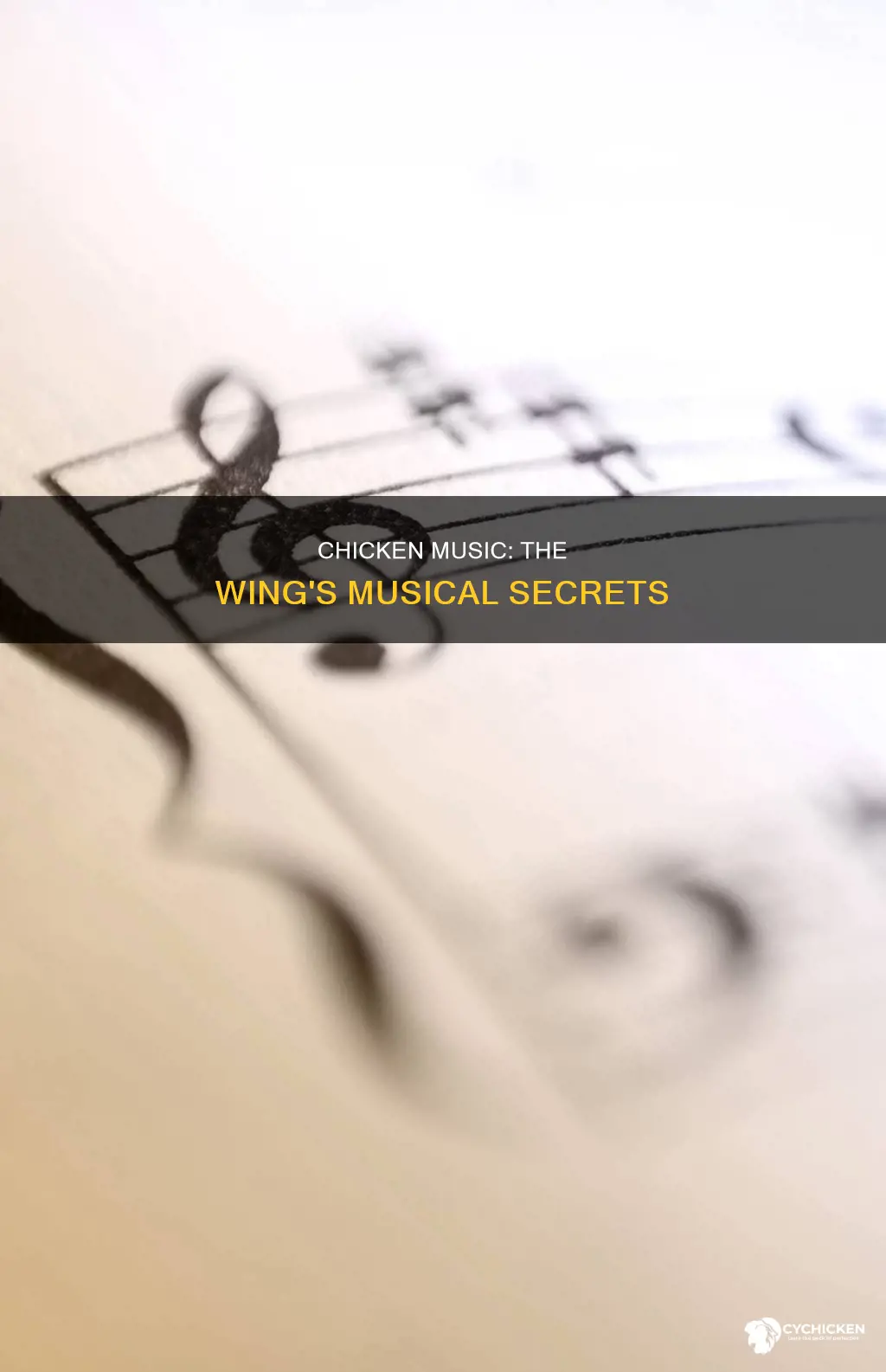 what is the most musical part of a chicken
