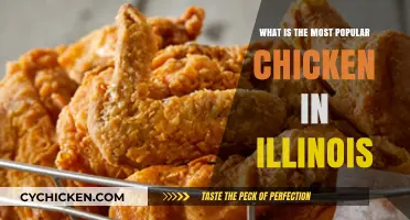 Illinois' Favorite Chicken: Uncovering the Most Popular Breed in the Prairie State
