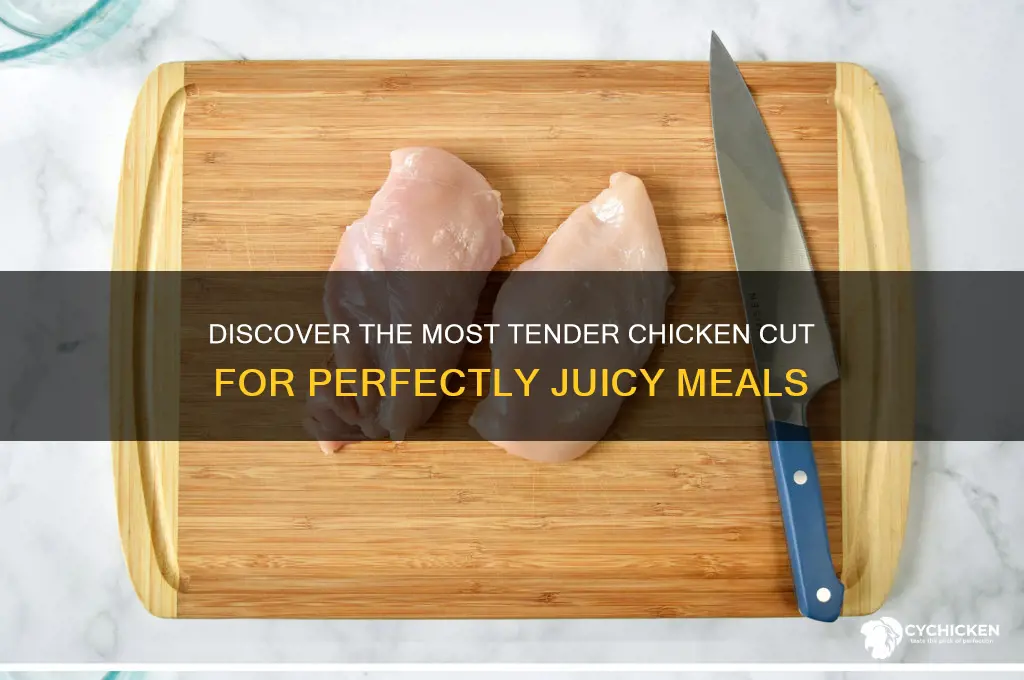 what is the most tender cut of chicken