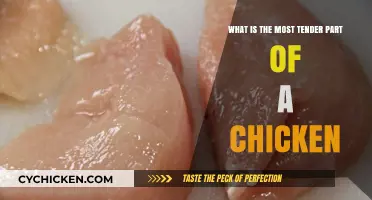 The Tenderest Chicken Cuts: A Meat Lover's Guide