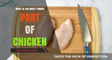 Discovering the Most Tender Chicken Cut: A Culinary Guide