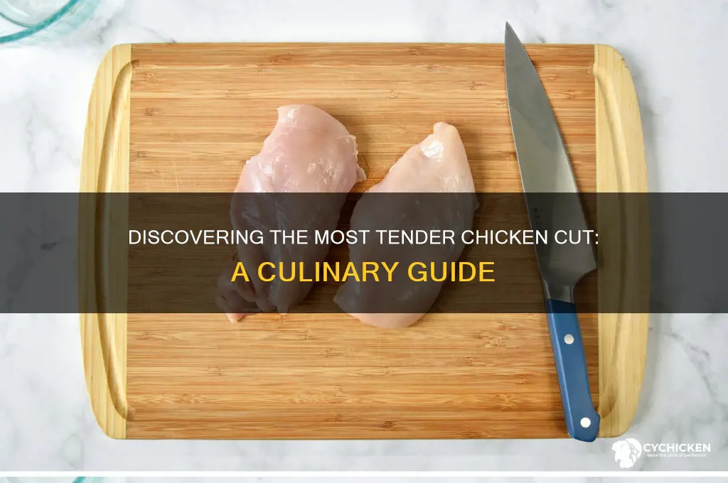 what is the most tender part of chicken