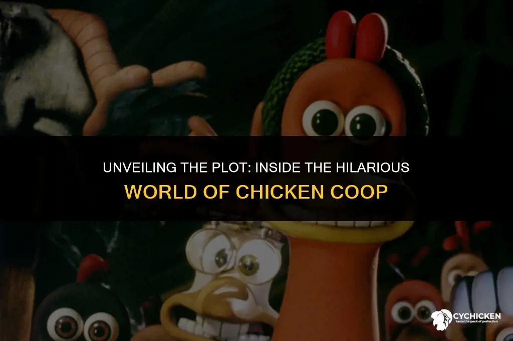 what is the movie chicken coop about