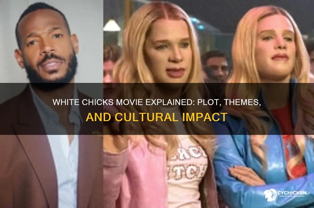 what is the movie white chicks on