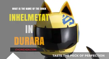 Who is the Mysterious Helmeted Girl in Durarara?