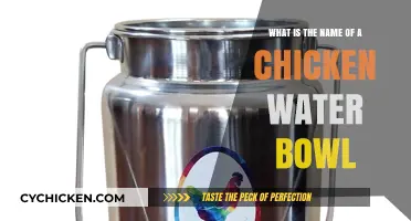 Chicken Watering Systems: What's in a Name?