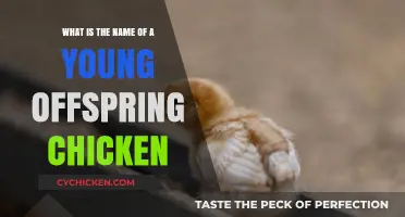 Young Chickens: What's in a Name?