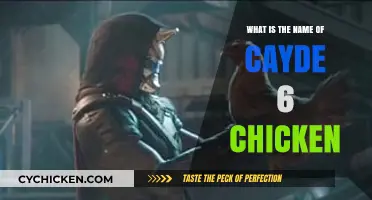 Unveiling the Name of Cayde-6's Iconic Chicken Companion