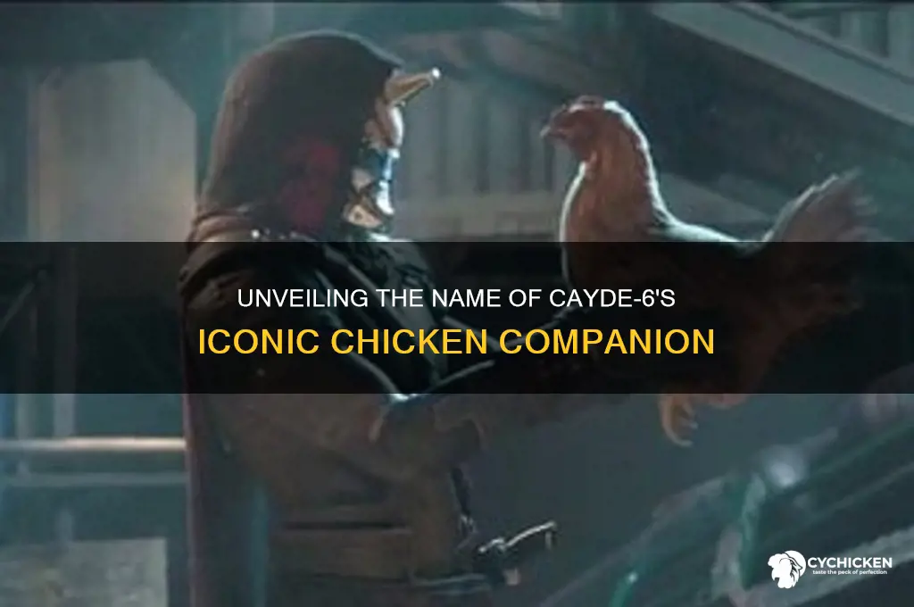 what is the name of cayde 6 chicken