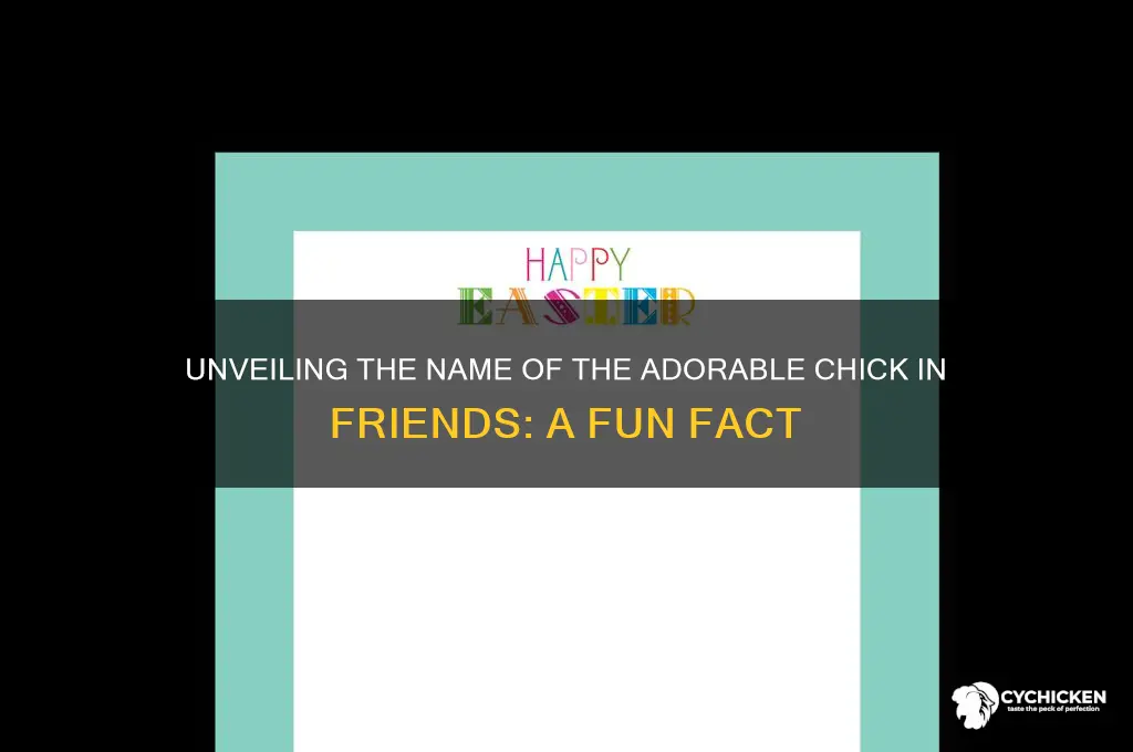 what is the name of chick in friends