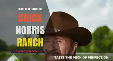 Unveiling the Name of Chuck Norris' Iconic Ranch: A Closer Look