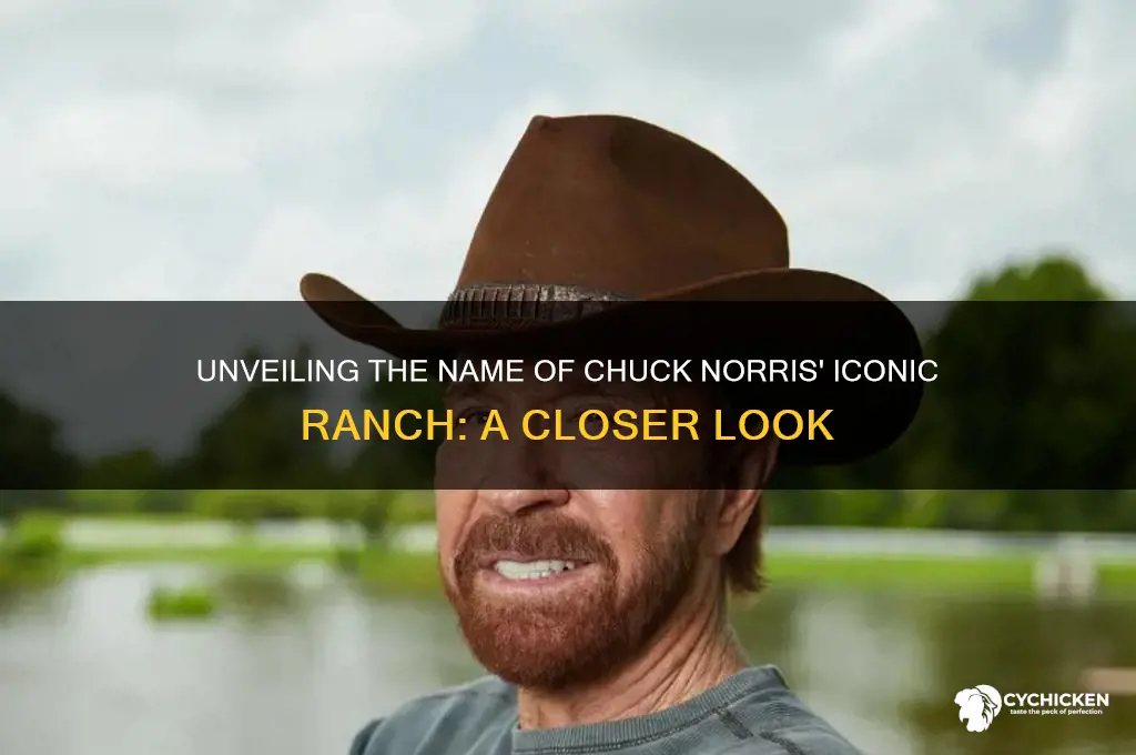 what is the name of chick norris ranch