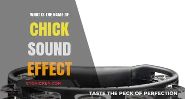 What's the Name of the Chick Sound Effect? A Quick Guide