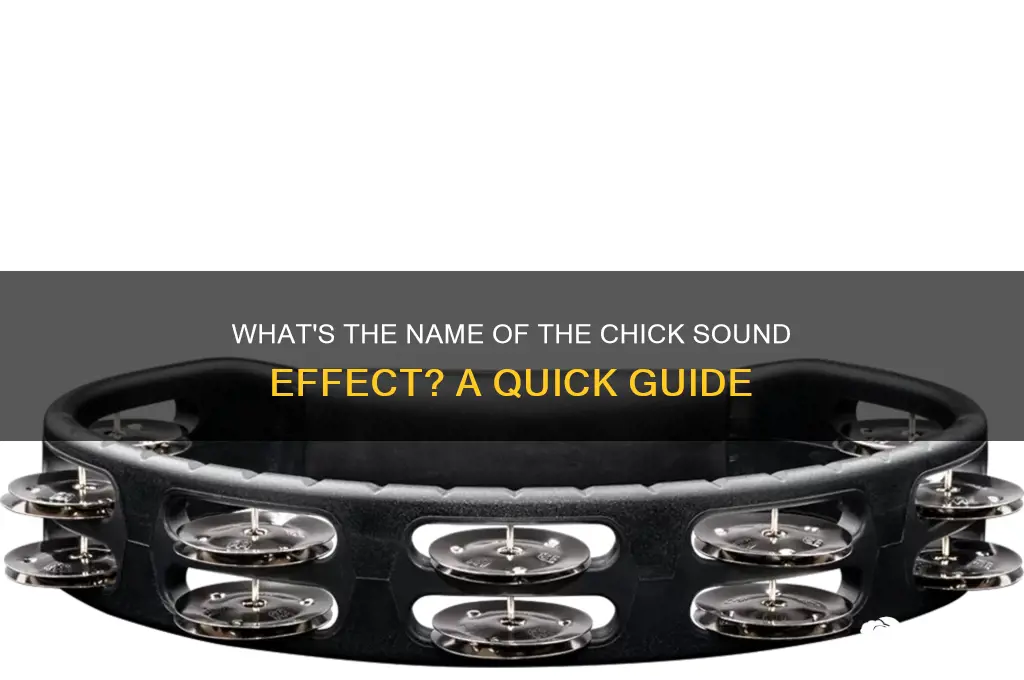 what is the name of chick sound effect