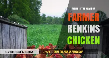 Discovering the Name of Farmer Renkins' Famous Chicken: A Fun Tale