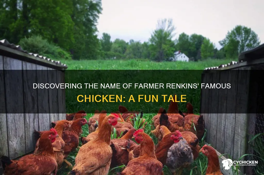 what is the name of farmer renkins chicken