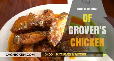 Unveiling the Mystery: What is the Name of Grover's Chicken?