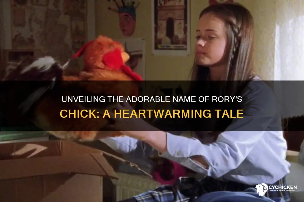 what is the name of rory