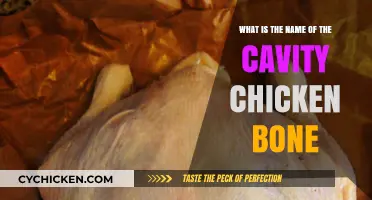 The Hollow Truth: Chicken Bone Cavity Explained