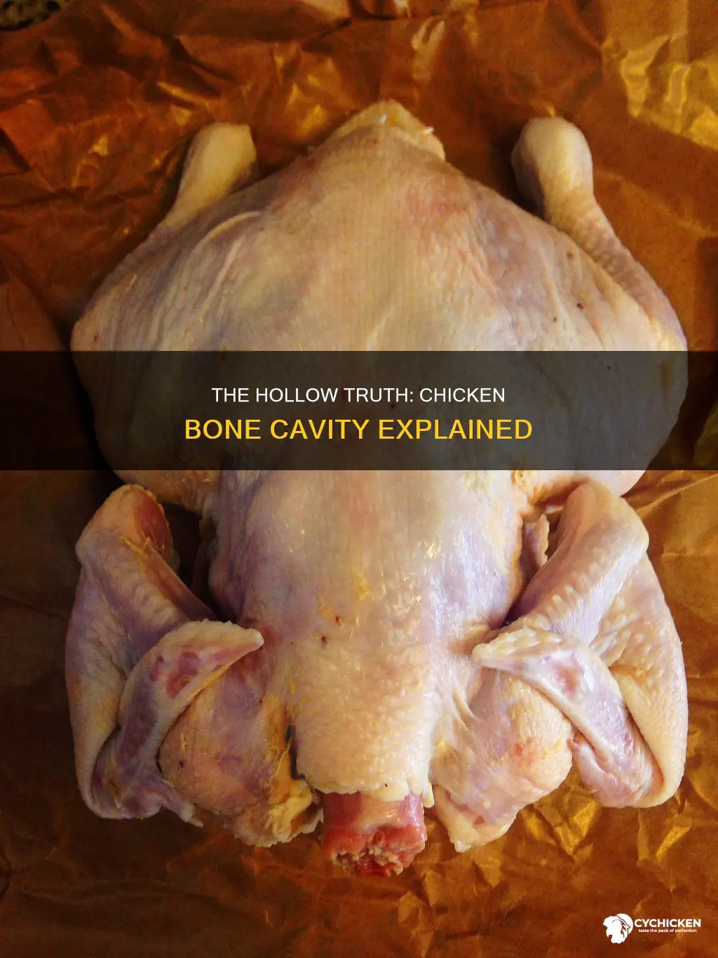 what is the name of the cavity chicken bone