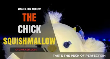 Discover the Adorable Name of the Chick Squishmallow Plush Toy