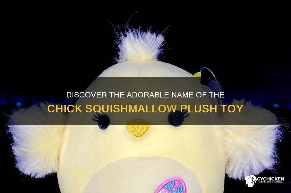 what is the name of the chick squishmallow