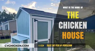 What’s the Proper Name for a Chicken House? Discover Now!