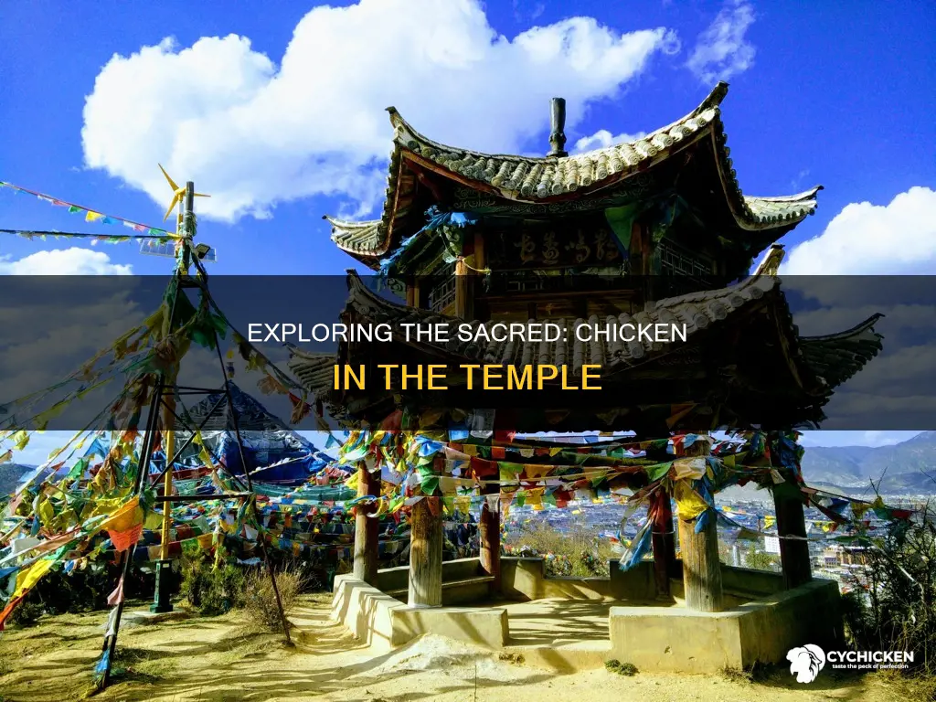 what is the name of the chicken in the temple