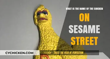 Who's the Famous Fowl on Sesame Street?