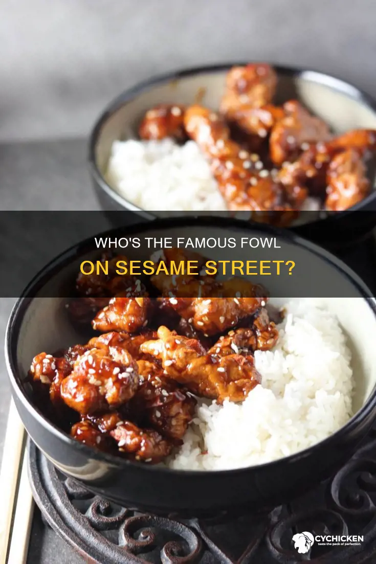 what is the name of the chicken on sesame street