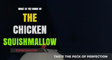 Discover the Adorable Name of the Chicken Squishmallow Plush Toy