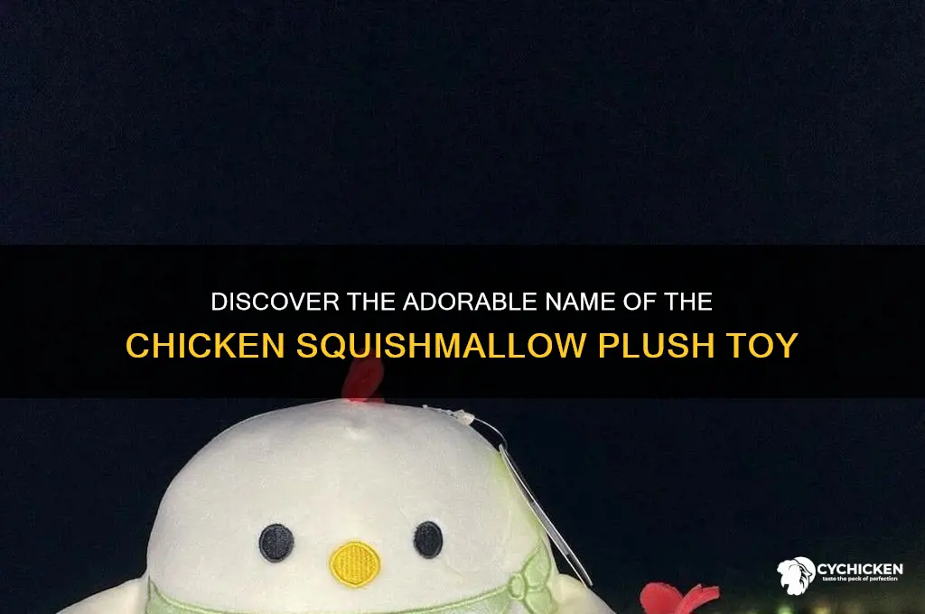 what is the name of the chicken squishmallow