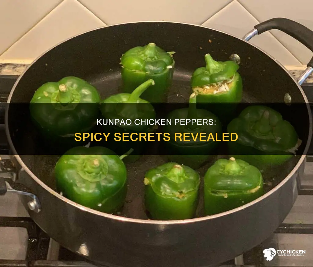 what is the name of the peppers in kunpao chicken