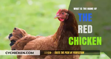 Unveiling the Mystery: What is the Name of the Red Chicken?