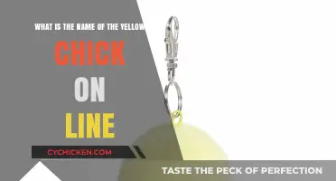 Yellow Chick's Identity: Solving the LINE Mystery