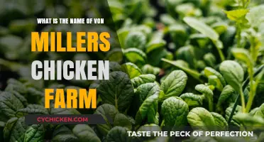 Miller's Chicken Farm: Von's Clucks and Bucks