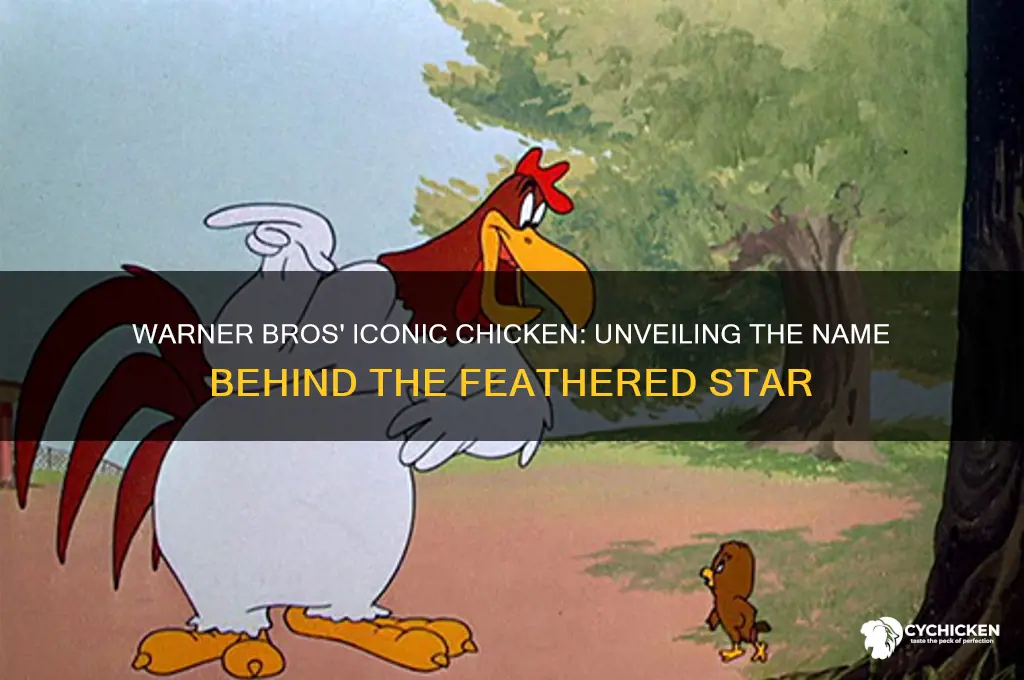 what is the name of warner bros chicken
