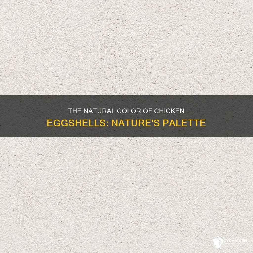 what is the natural color of a chicken eggshell
