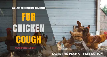 Effective Natural Remedies to Relieve Chicken Cough at Home