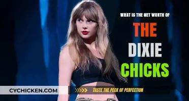 Wealth of the Dixie Chicks: How Rich Are They?