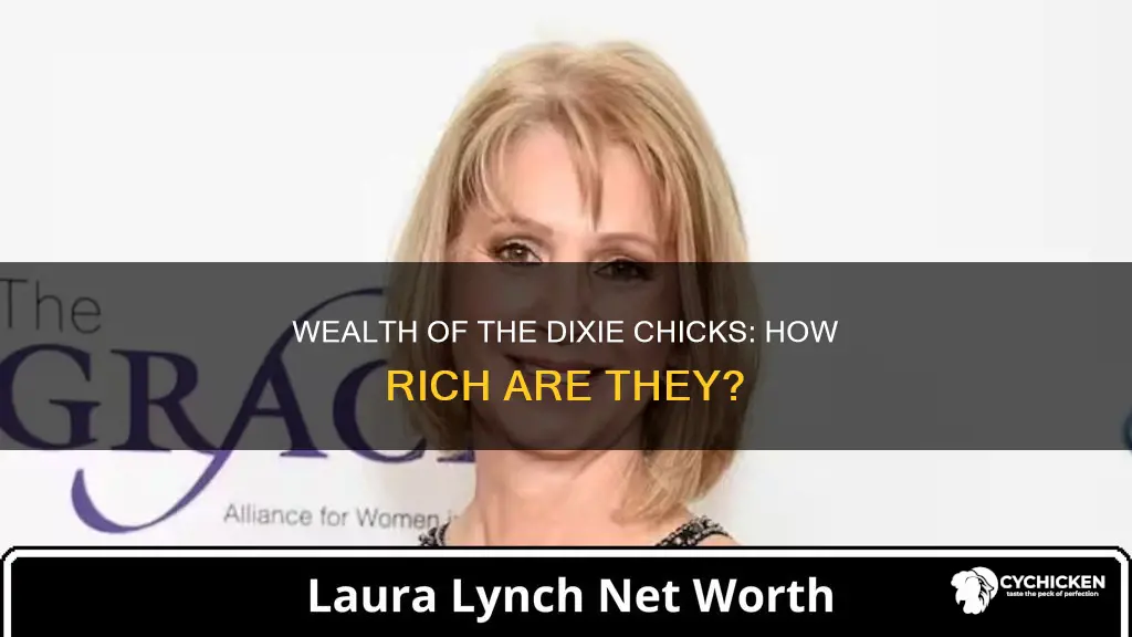 what is the net worth of the dixie chicks