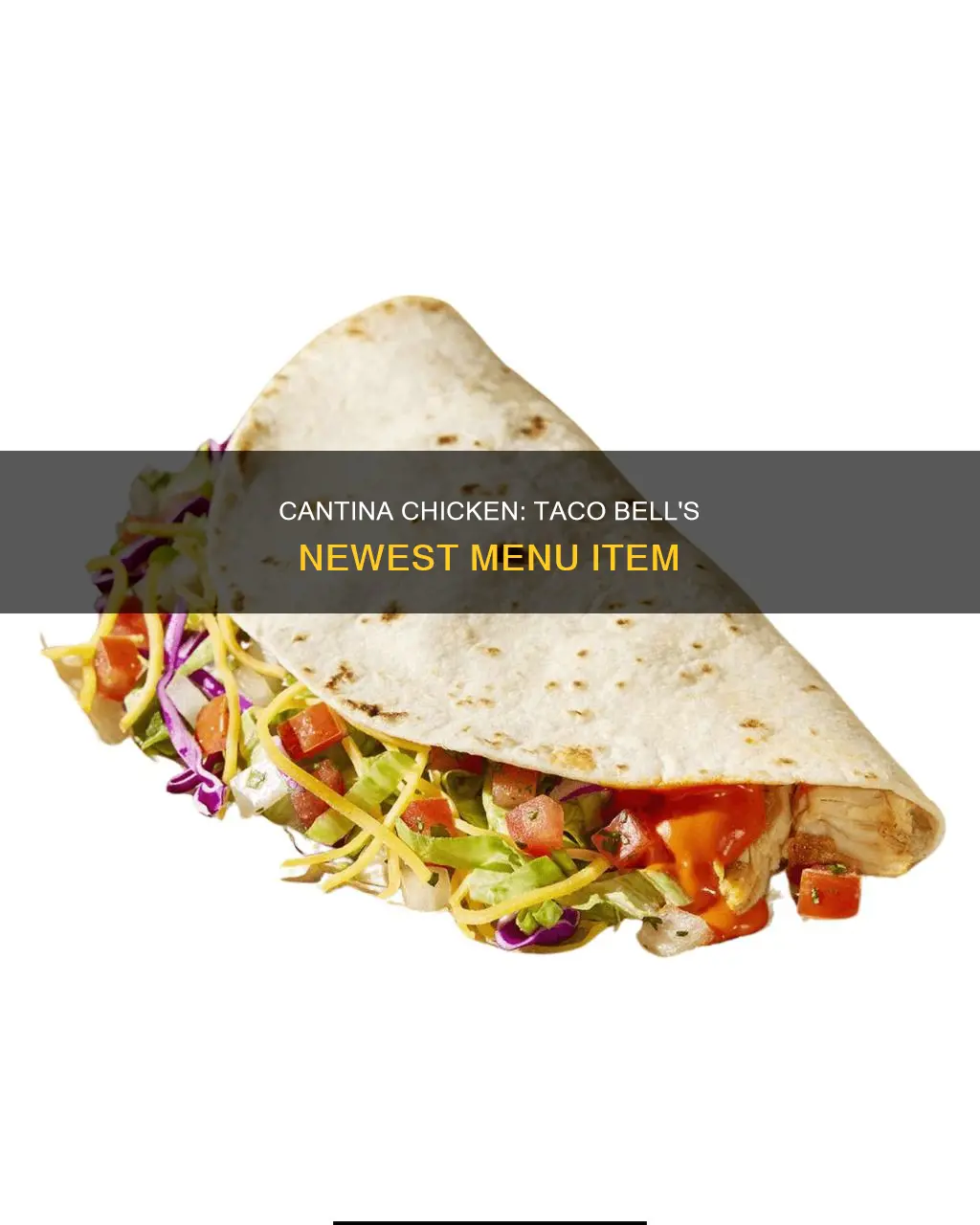 what is the new cantina chicken at taco bell